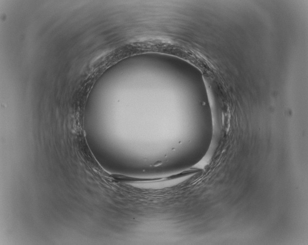 X0000072930965200608111531