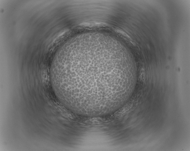 X0000072930966200608111531