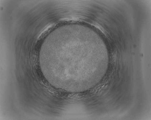 X0000072930967200608111531