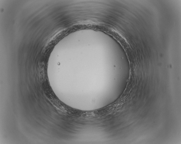 X0000072930968200608111531