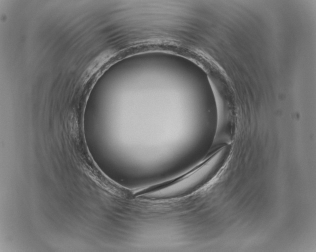 X0000072930969200608111531