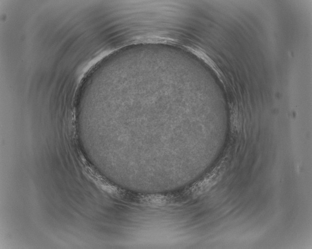 X0000072930971200608111531