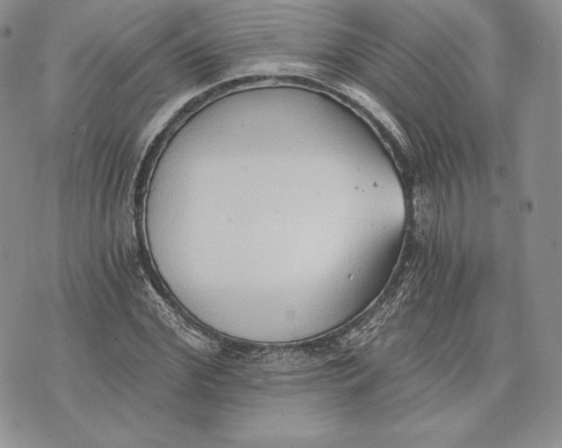 X0000072930972200608111531