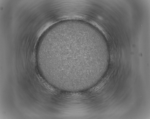 X0000072930975200608111531