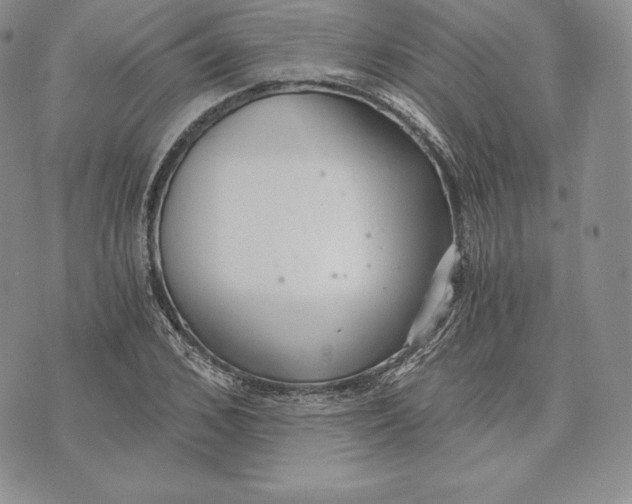 X0000072930976200608111531