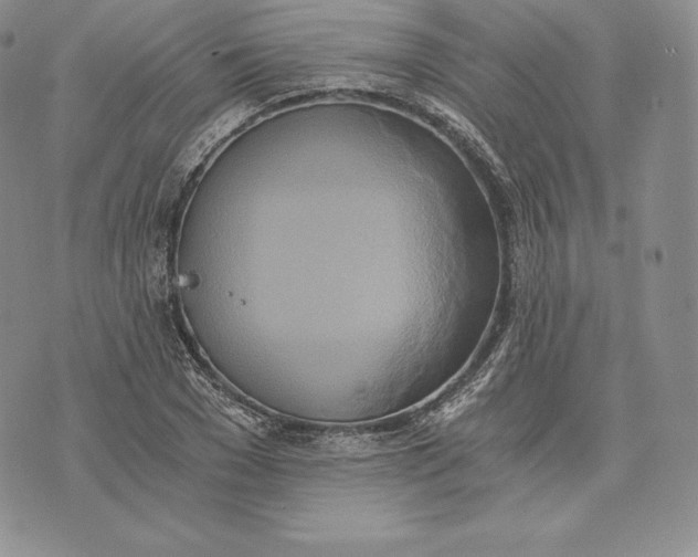 X0000072930977200608111531