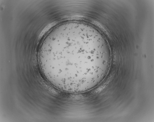 X0000072930978200608111531