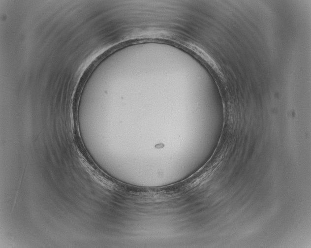 X0000072930980200608111531