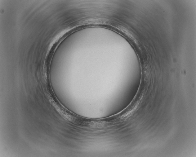 X0000072930981200608111531