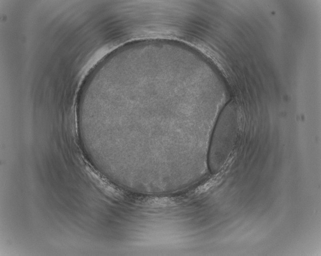 X0000072930982200608111531