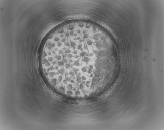 X0000072930983200608111531