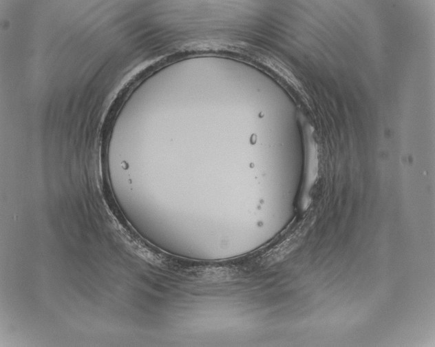 X0000072930984200608111531