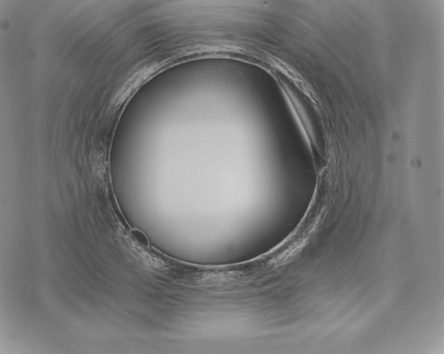 X0000072930985200608111531