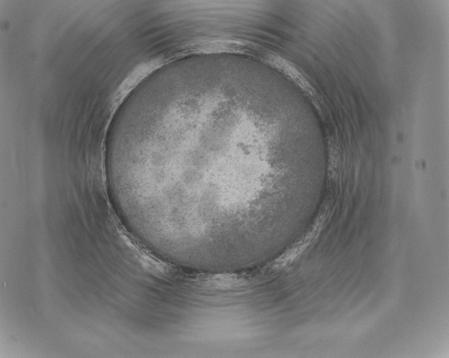 X0000072930986200608111531