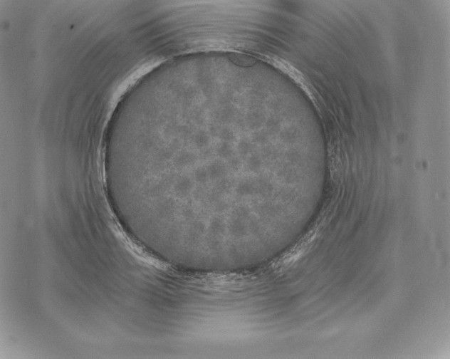 X0000072930987200608111531