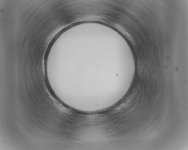 X0000072930988200608111531