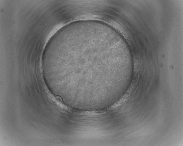 X0000072930990200608111531