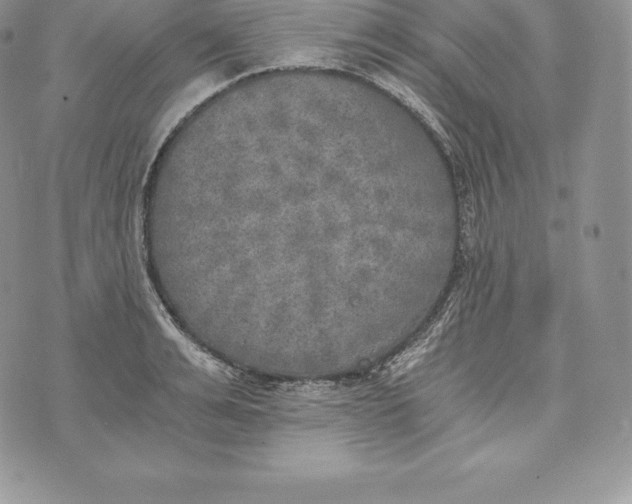 X0000072930991200608111531