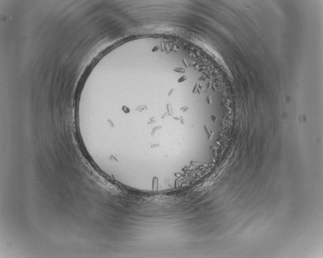 X0000072930992200608111531