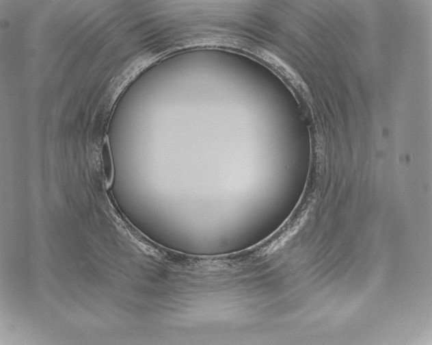 X0000072930993200608111531