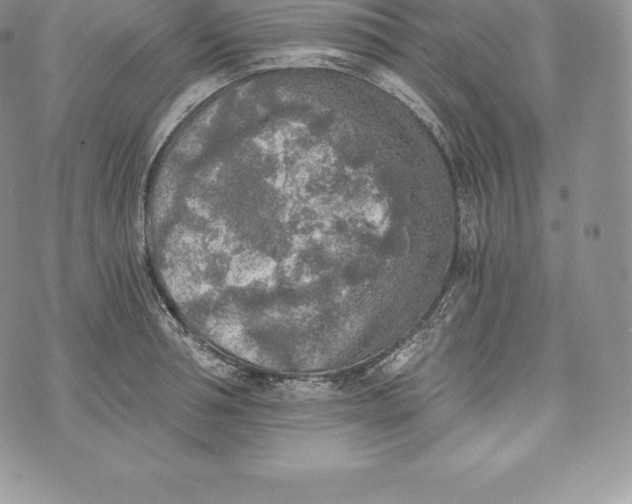 X0000072930994200608111531