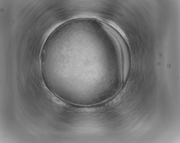 X0000072930996200608111531