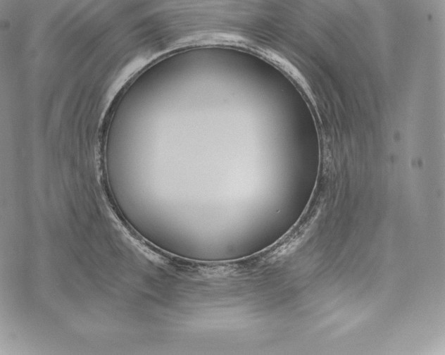 X0000072930997200608111531