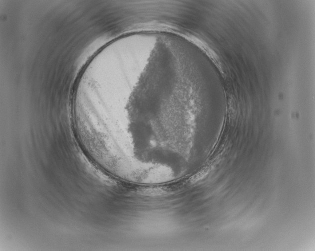 X0000072930998200608111531