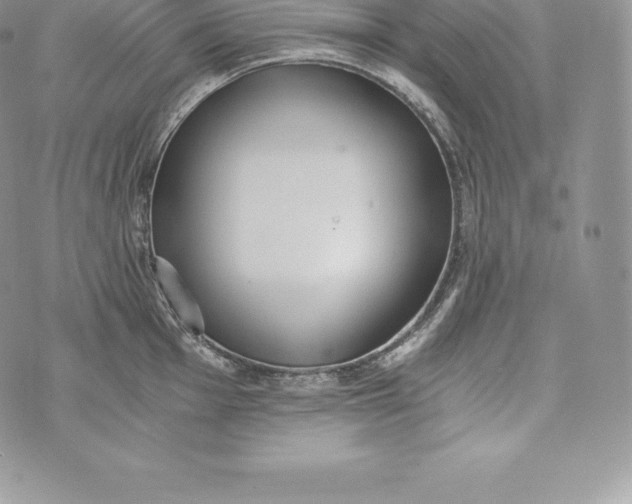 X0000072931001200608111531