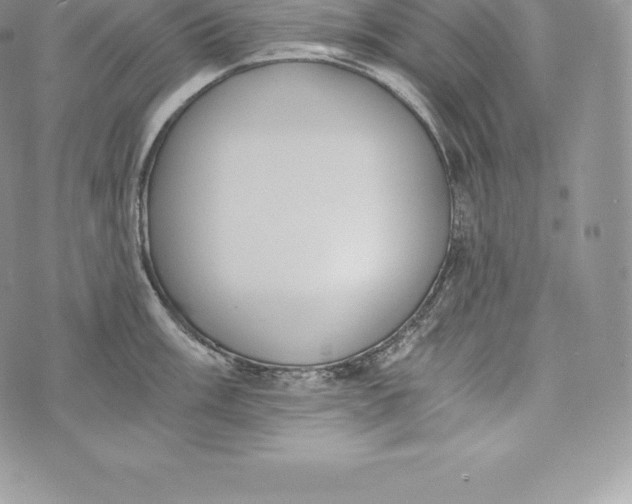 X0000072931003200608111531