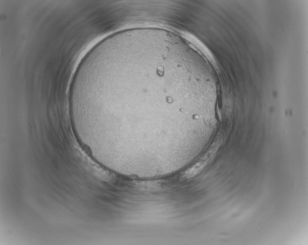 X0000072931004200608111530