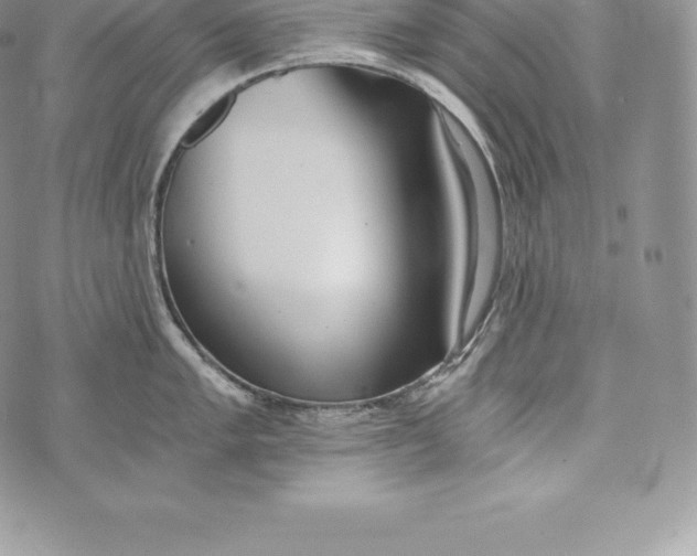 X0000072931005200608111530