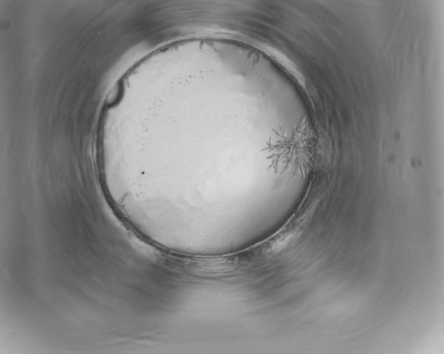 X0000072931007200608111530