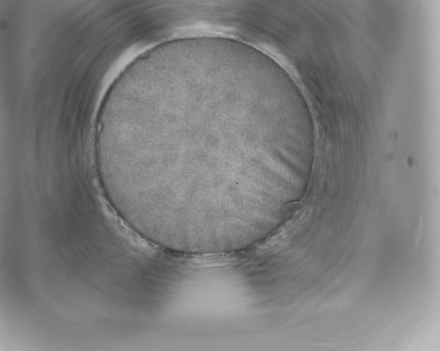 X0000072931008200608111530