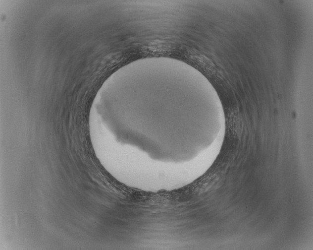 X0000072931009200608111530