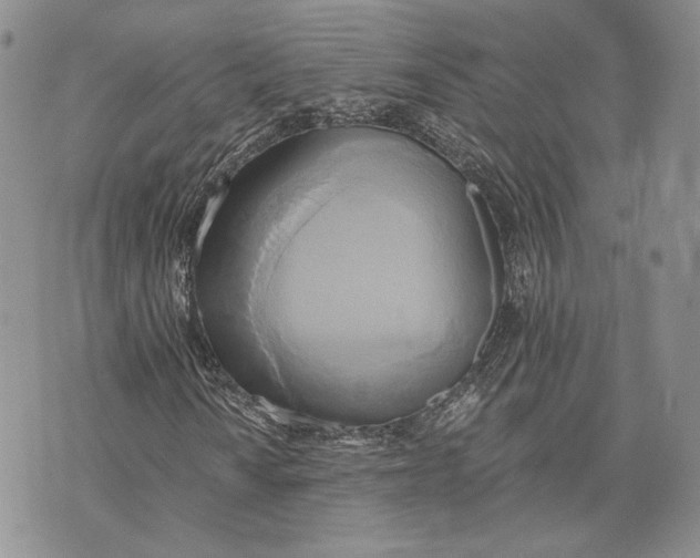 X0000072931010200608111530