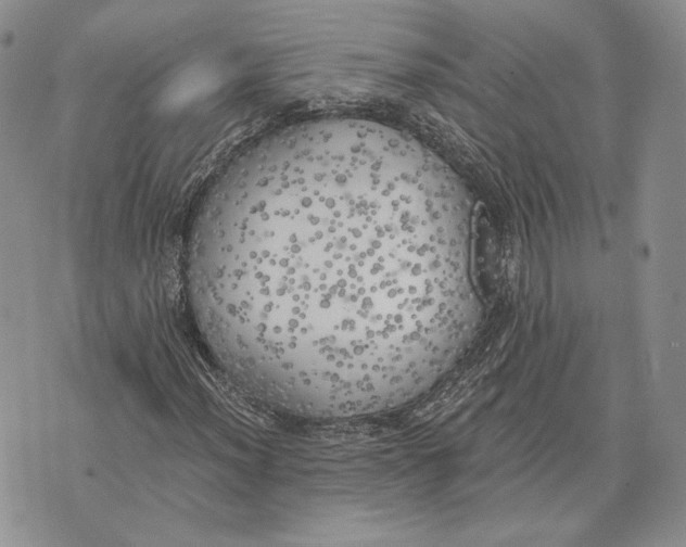 X0000072931012200608111530