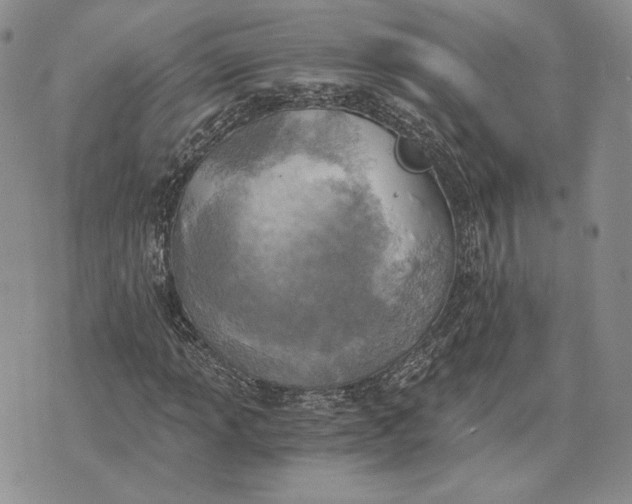 X0000072931013200608111530