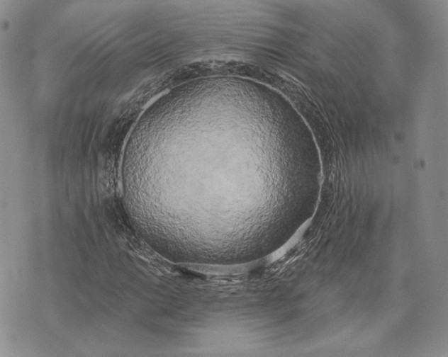 X0000072931014200608111530