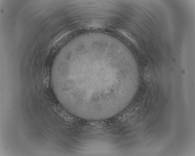 X0000072931015200608111530