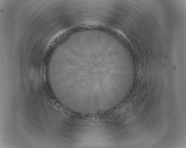 X0000072931016200608111530