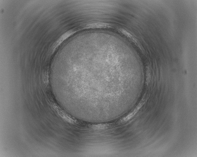 X0000072931017200608111530