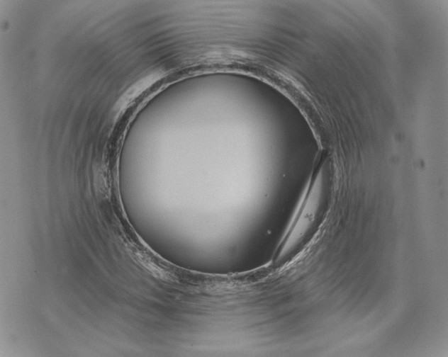 X0000072931018200608111530