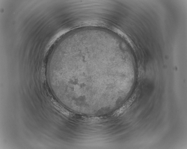 X0000072931019200608111530