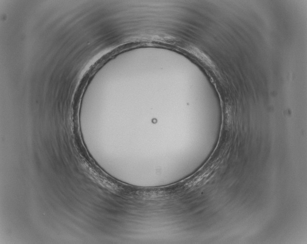 X0000072931020200608111530