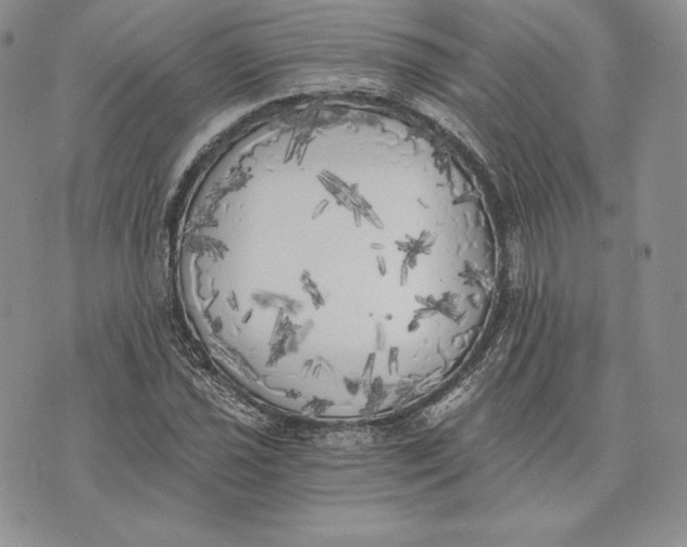 X0000072931021200608111530