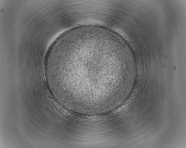 X0000072931022200608111530