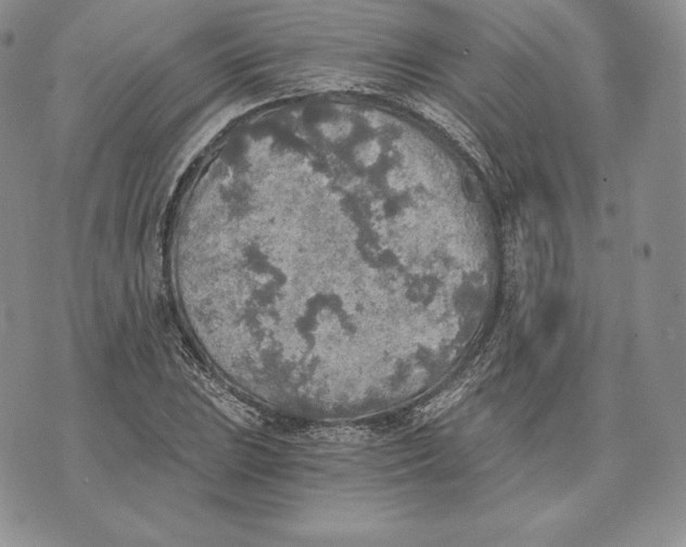 X0000072931023200608111530