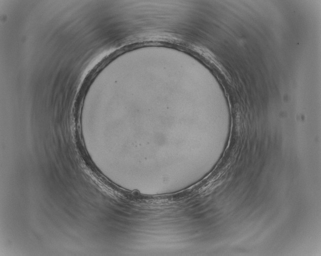 X0000072931024200608111530