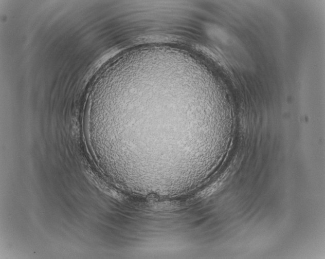 X0000072931025200608111530